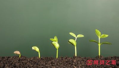 怎么维护好个人征信？做好这几点可以养好征信