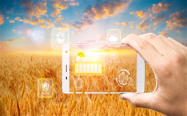 京东白条额度突然没了怎么恢复？恢复额度的几种有效方法