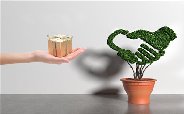 2025严重逾期能借钱的app有哪些？盘点5个不看征信能借钱的app