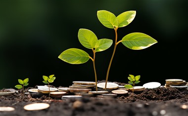 哪里可以快速借到1000块钱？精选5个好下款的小额贷款口子